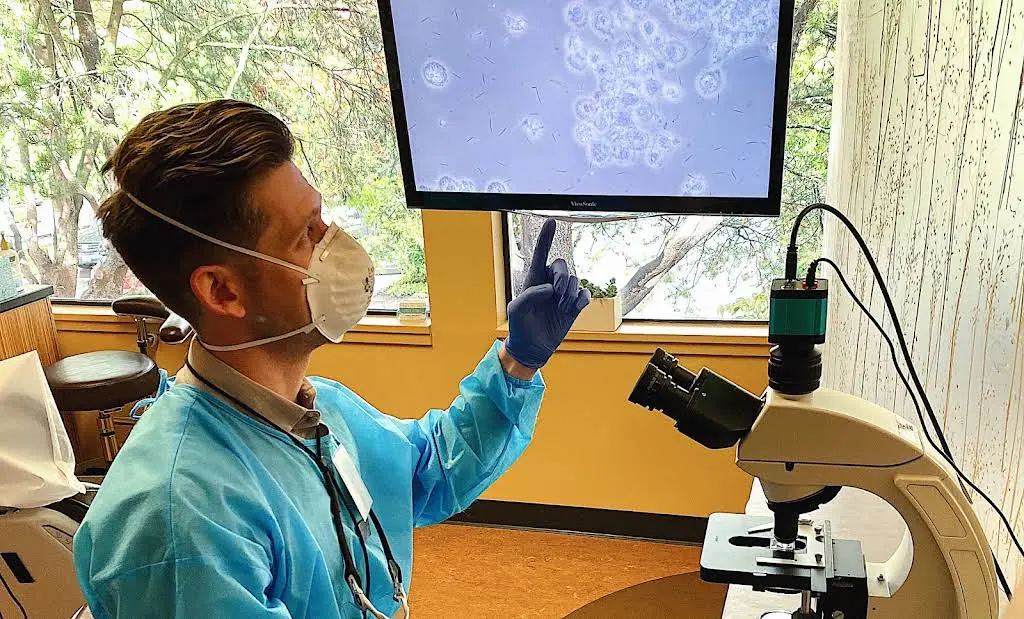 Integrative Dentistry