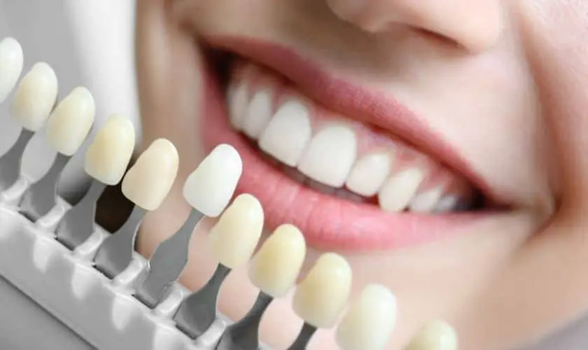Bellevue Dentistry