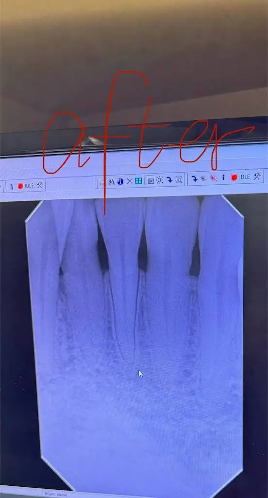 Good Tooth Dental Bellevue