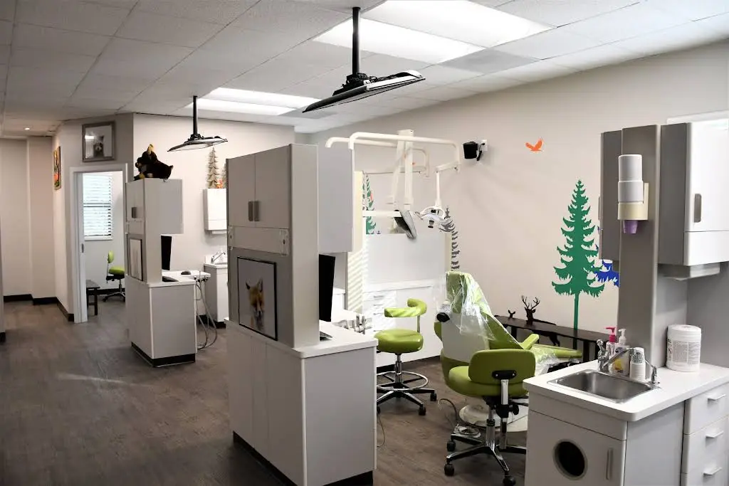 The Kids' Dentist Highlands