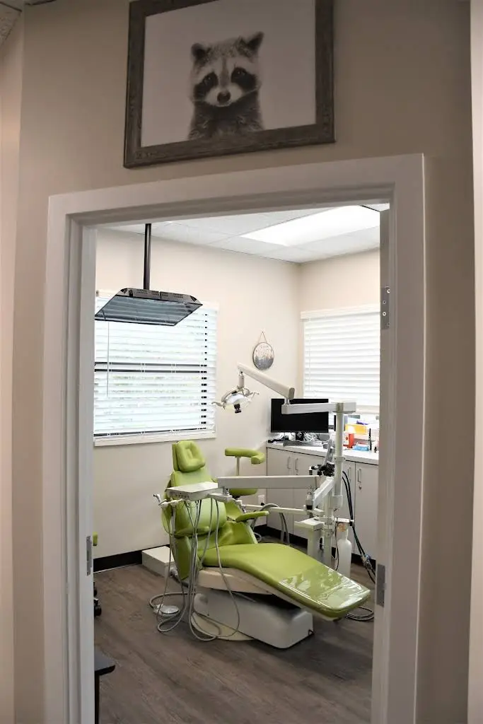 The Kids' Dentist Highlands