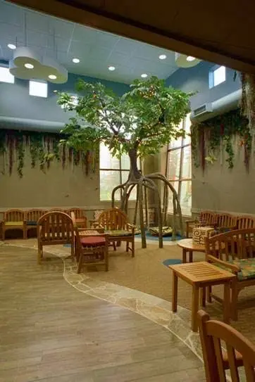 Children's Dental Center