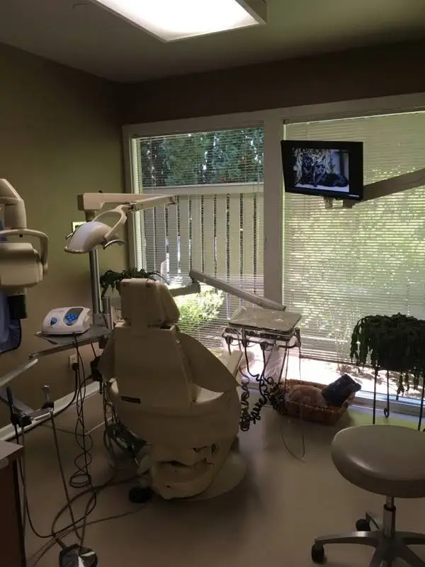 Northgate Dental Solutions
