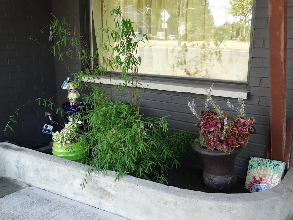 Green City Dental
