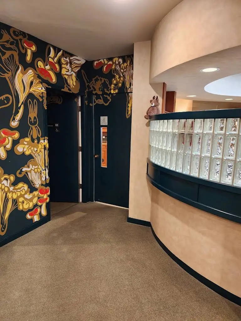EverGrins Pediatric Dentistry + Orthodontics