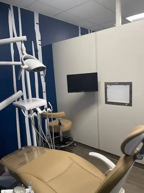 230 CV Dental