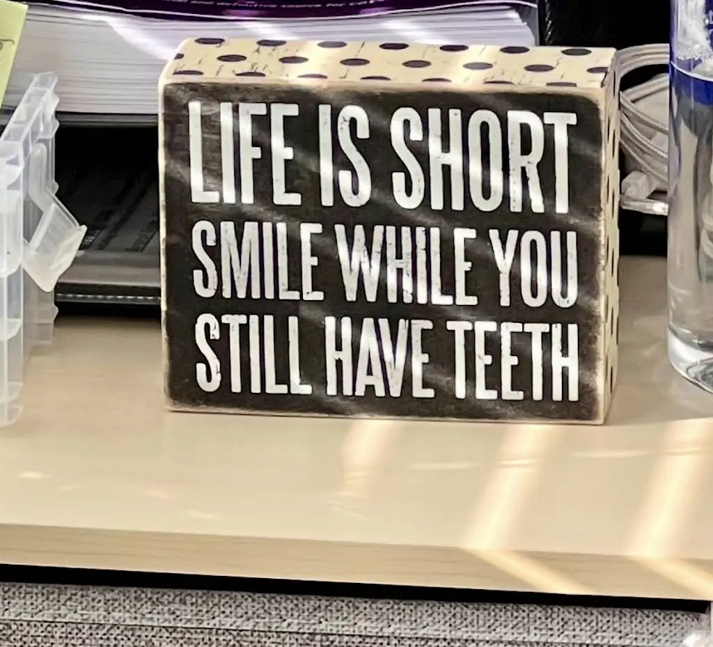 230 CV Dental