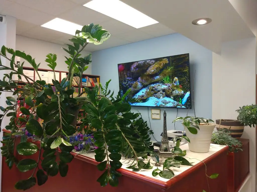 Aden Dental