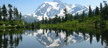 Cascadia Dental Specialists