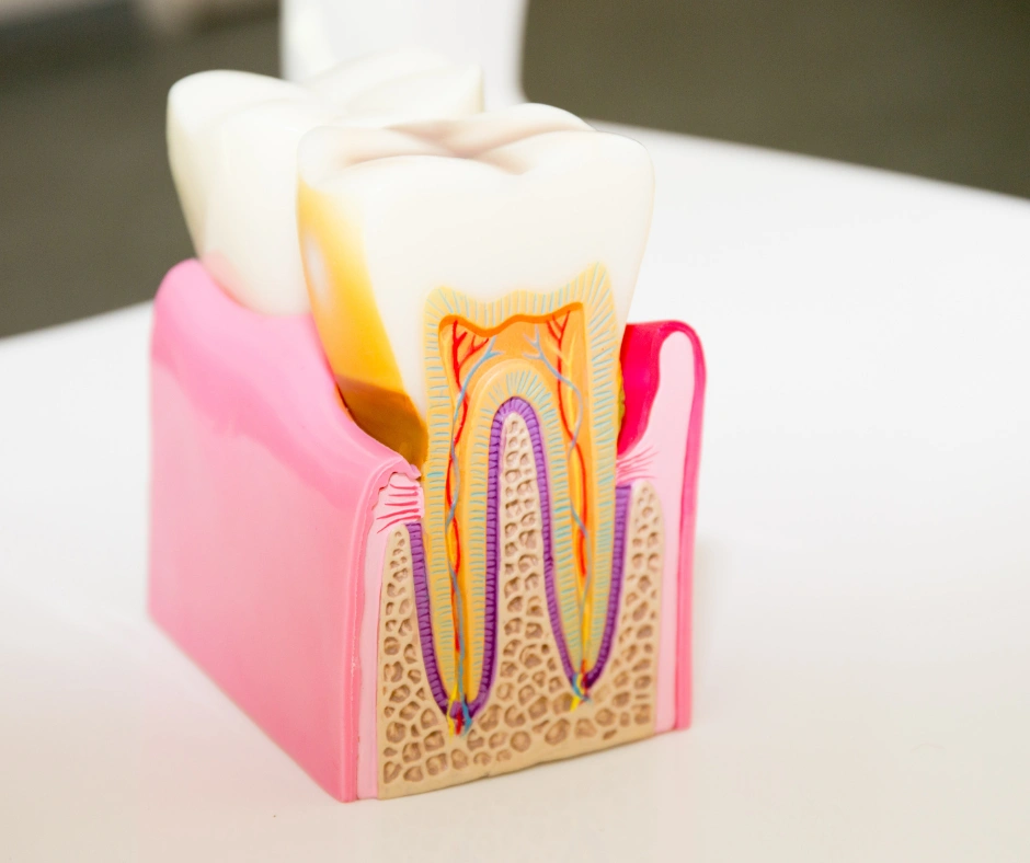 West River Dental