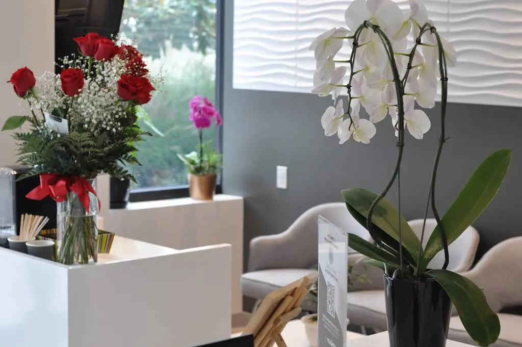 Smile Studios