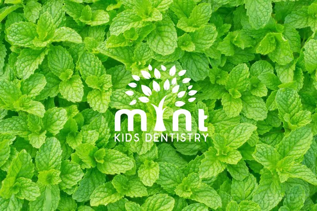 Mint Kids Dentistry