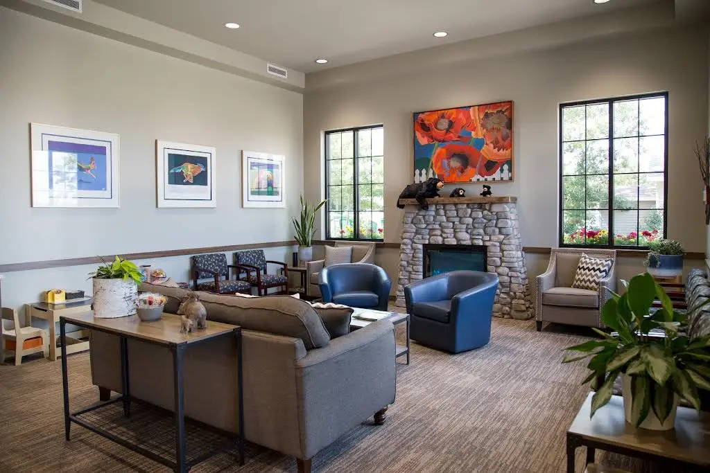 Black Bear Family Dental