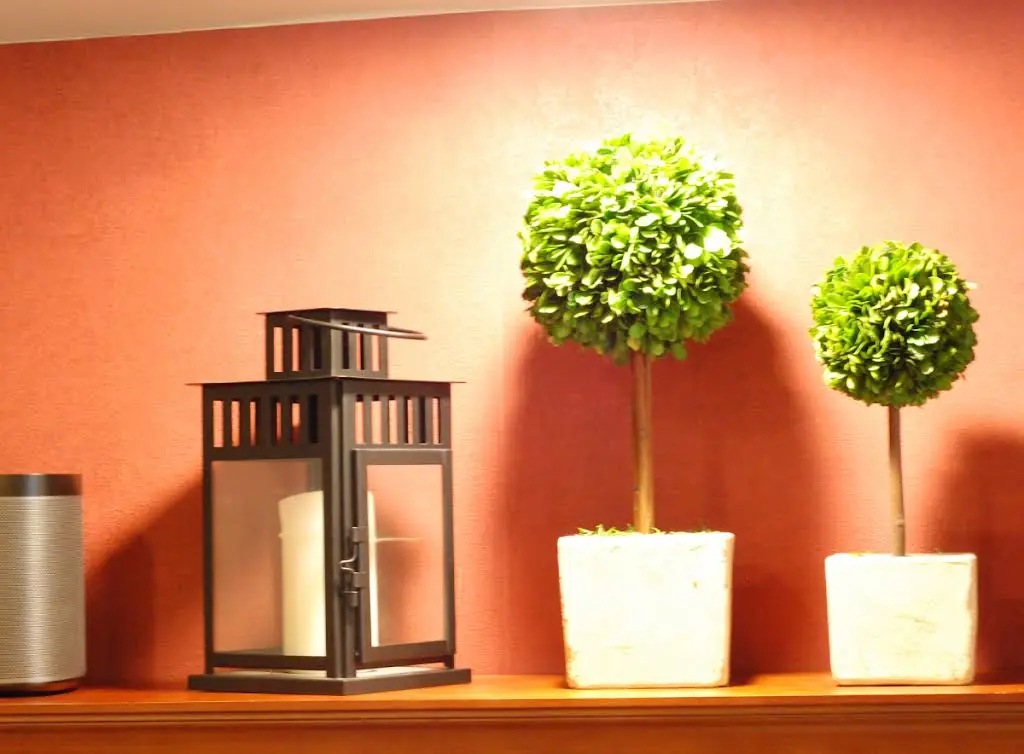 Meridian Valley Dental Center