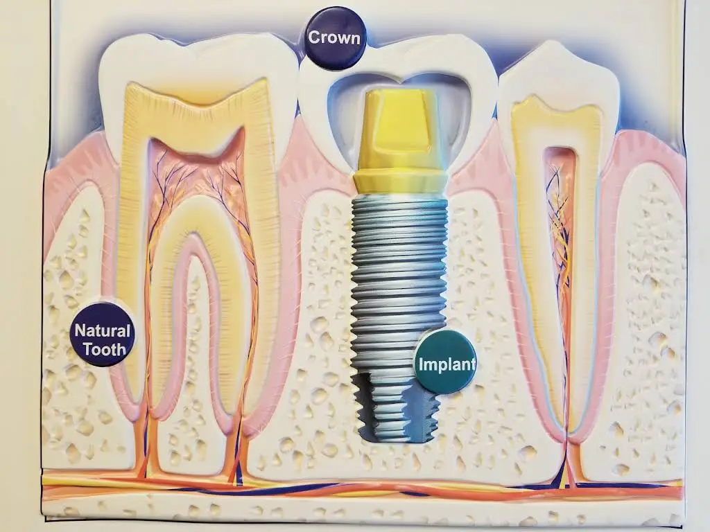 DDS Dental