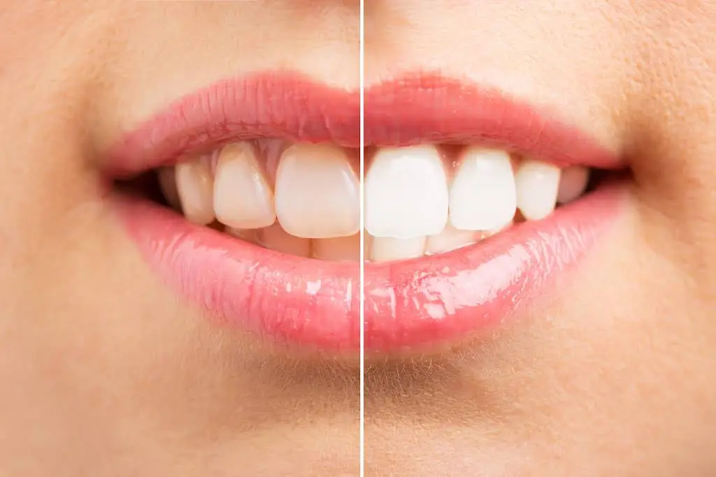 O'Kane Dental - Christopher O'Kane, DDS