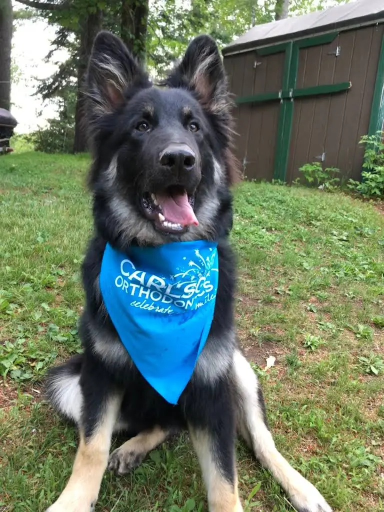 Carlson Orthodontics