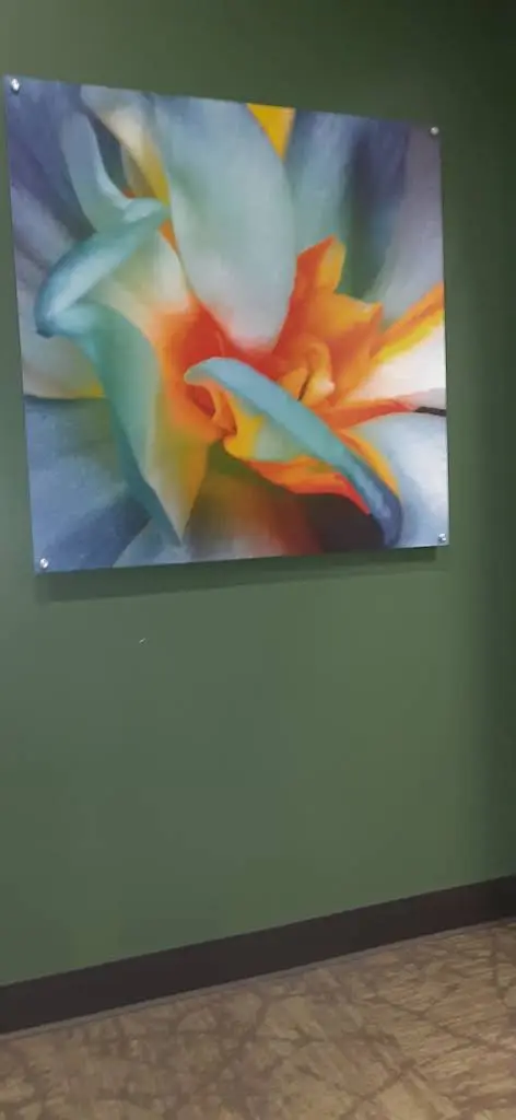 Aspen Dental