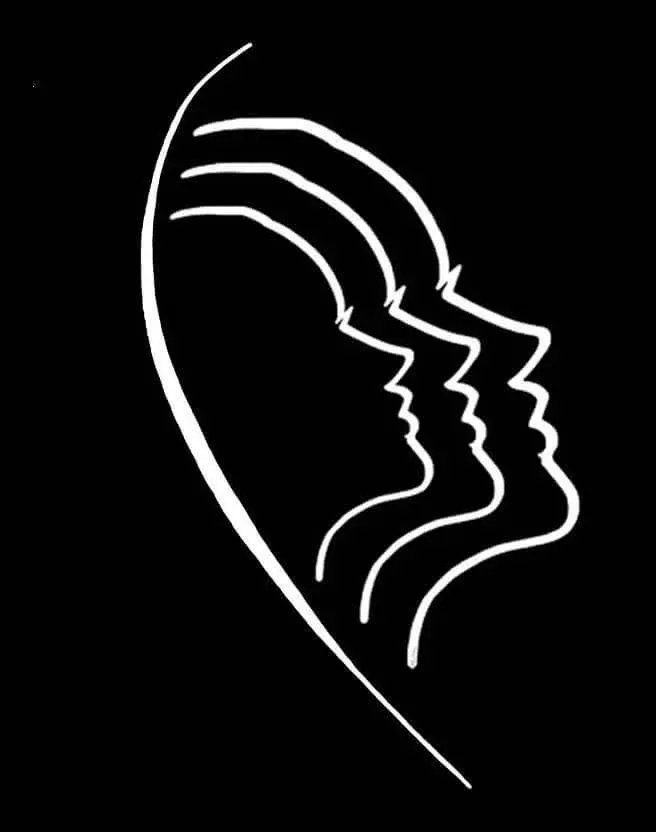 Facial Surgery Institute