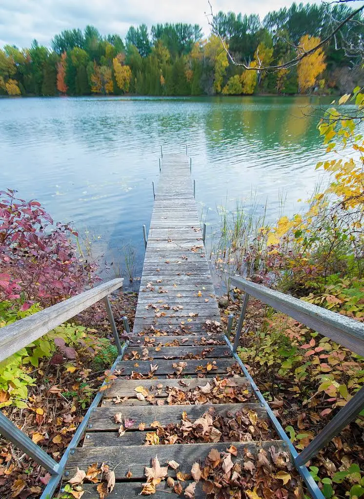 Water's Edge