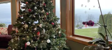 Fry Family Dentistry
