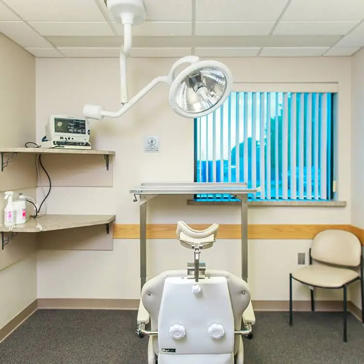 Midland Oral & Maxillofacial Surgery P.C.