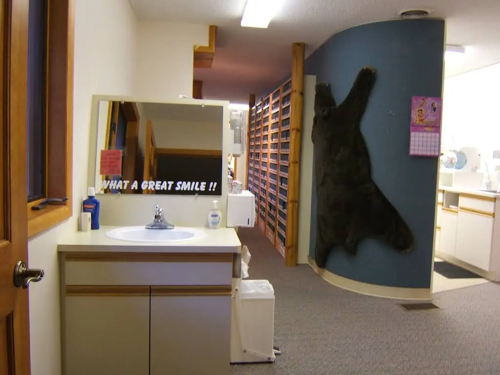 Tip of the Mitt Orthodontics