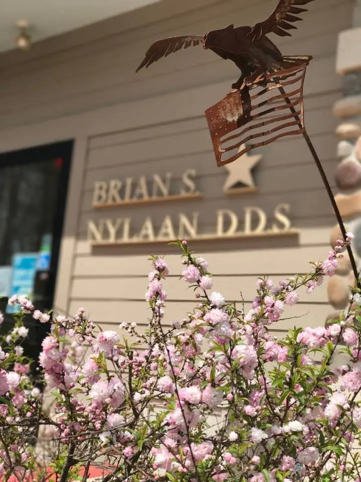 Brian S. Nylaan D.D.S., P.C.