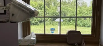 Lumbertown Dental Wellness
