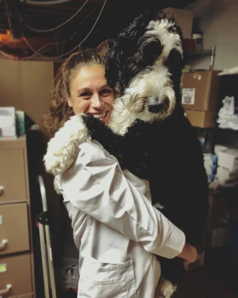 WestSide Dental Grand Rapids