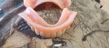 Bay City Dental