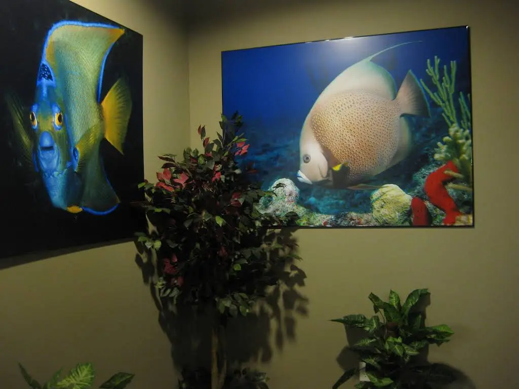 Sonja G. Norris, DDS PLLC and Associates