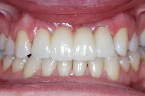 Dr Paul L Rashid DMD