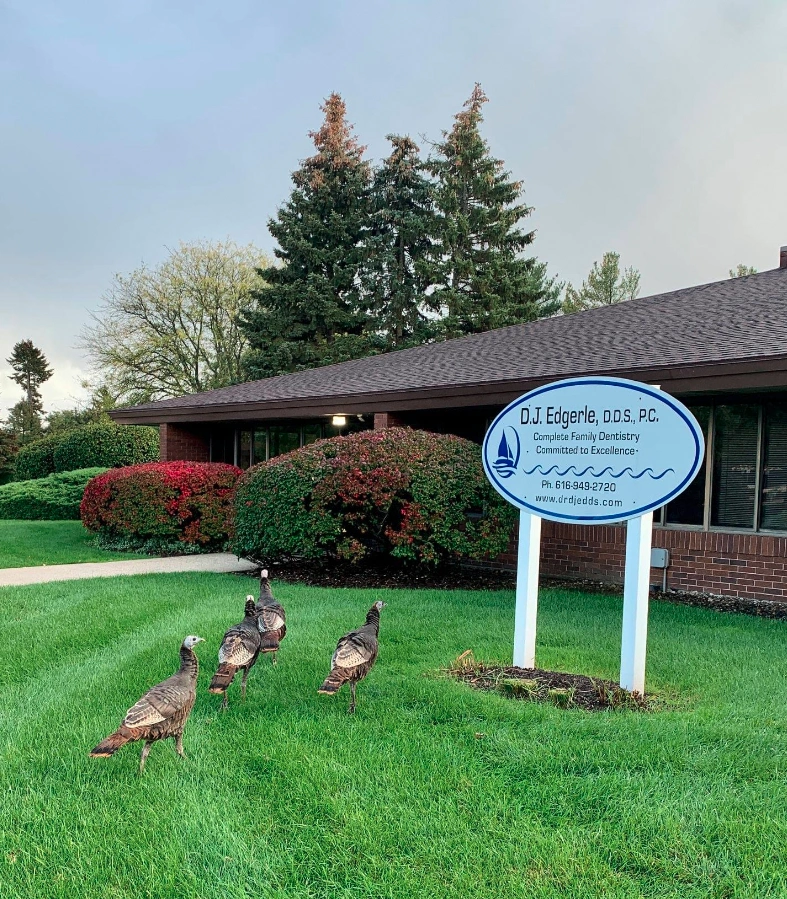 D.J. Edgerle, DDS, PC
