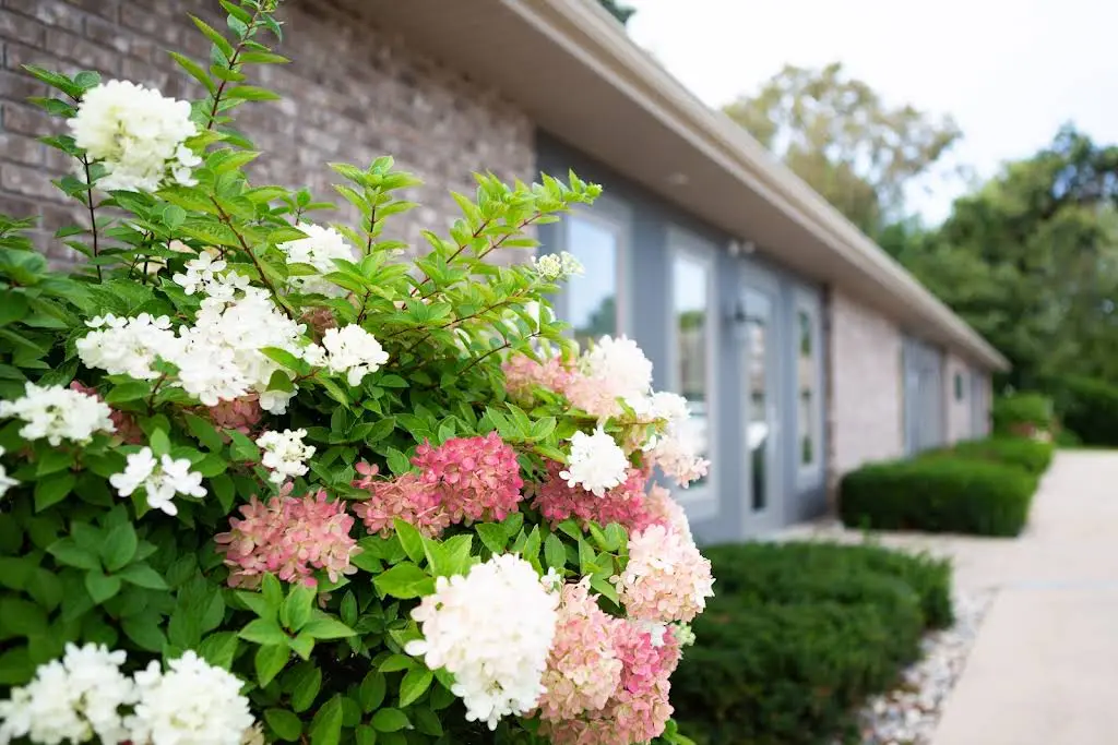 Beechtree Family Dentistry