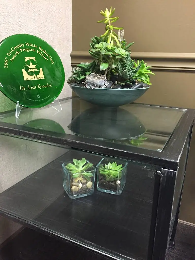Haslett East Lansing Dental Health & Wellness