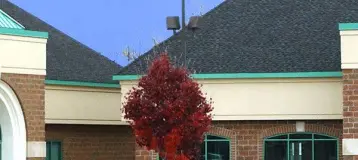 Lindenbrook Dental Care