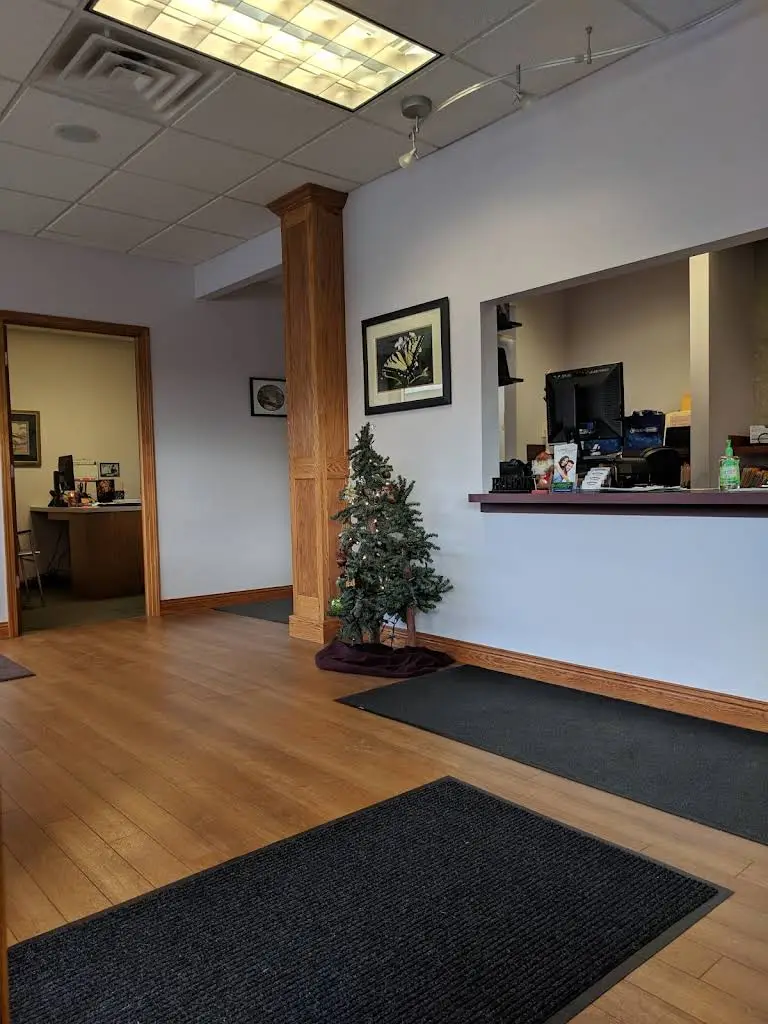 Painless Dentistry - Charlotte