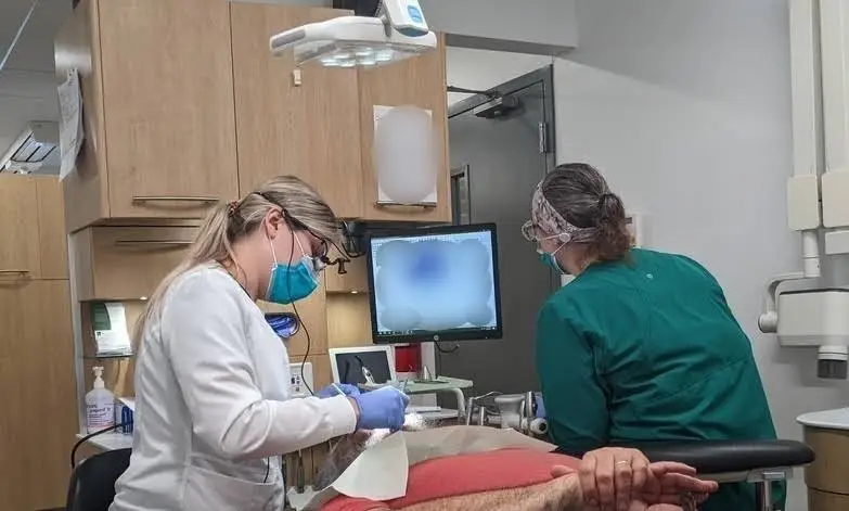 Dyras Dental