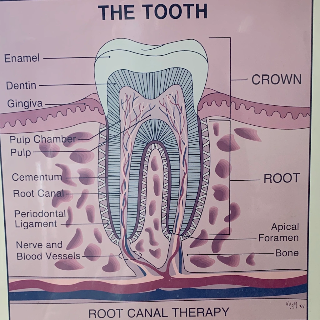 Deluxe Dental Flint