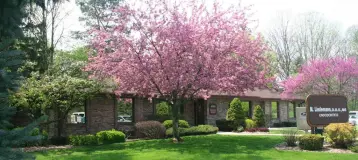 Lindemann Root Canal Specialists