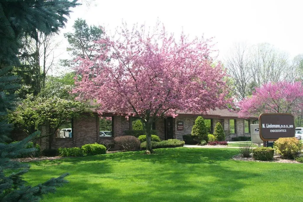 Lindemann Root Canal Specialists