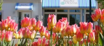 Moxy Dental & Airway
