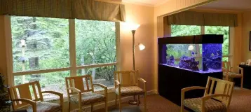 Berrien Dental St. Joseph
