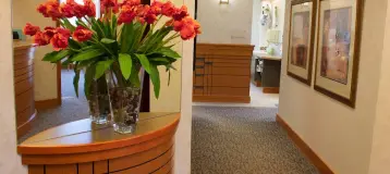 Southwest Michigan Endodontics
