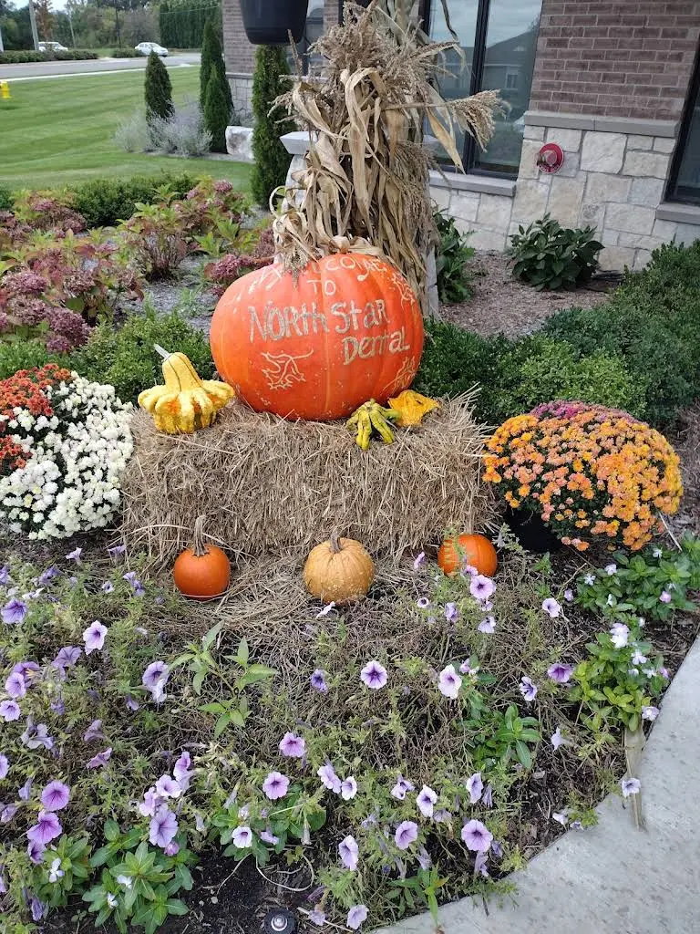 Northstar Family Dentistry