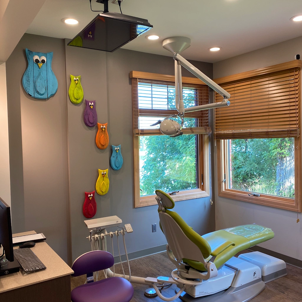 Willow Pediatric Dentistry Of Tecumseh