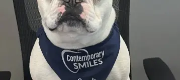 Contemporary Smiles