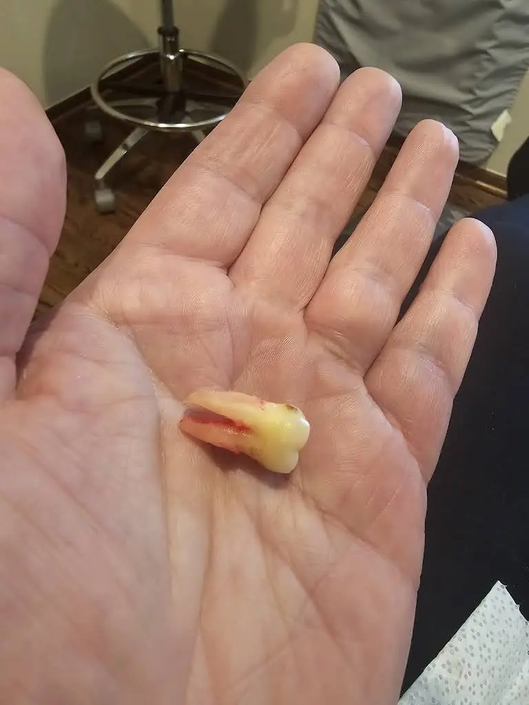 Rochester Endodontics
