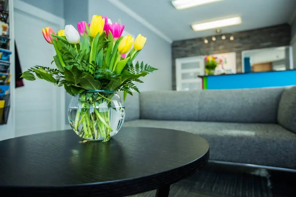 Tulip Tree Dental Care